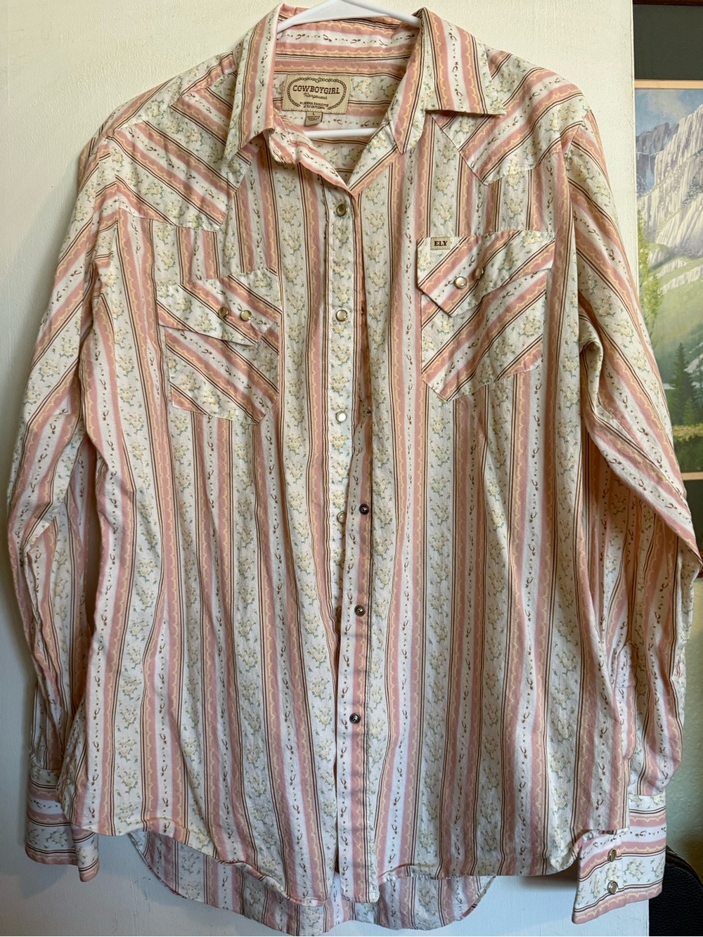 Ely Cattleman Cowboy Girl by Jenna Paulette Pink and Floral Print Pearl Snap